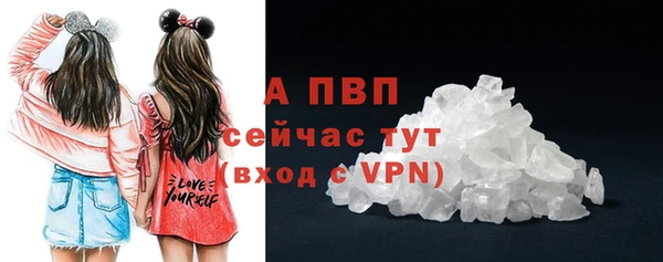 дурь Пересвет