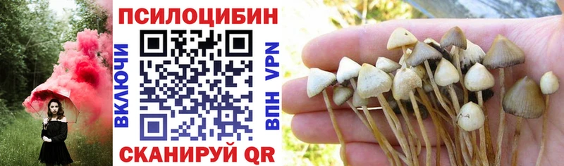 Купить  Лесосибирск  Псилоцибиновые грибы прущие грибы 